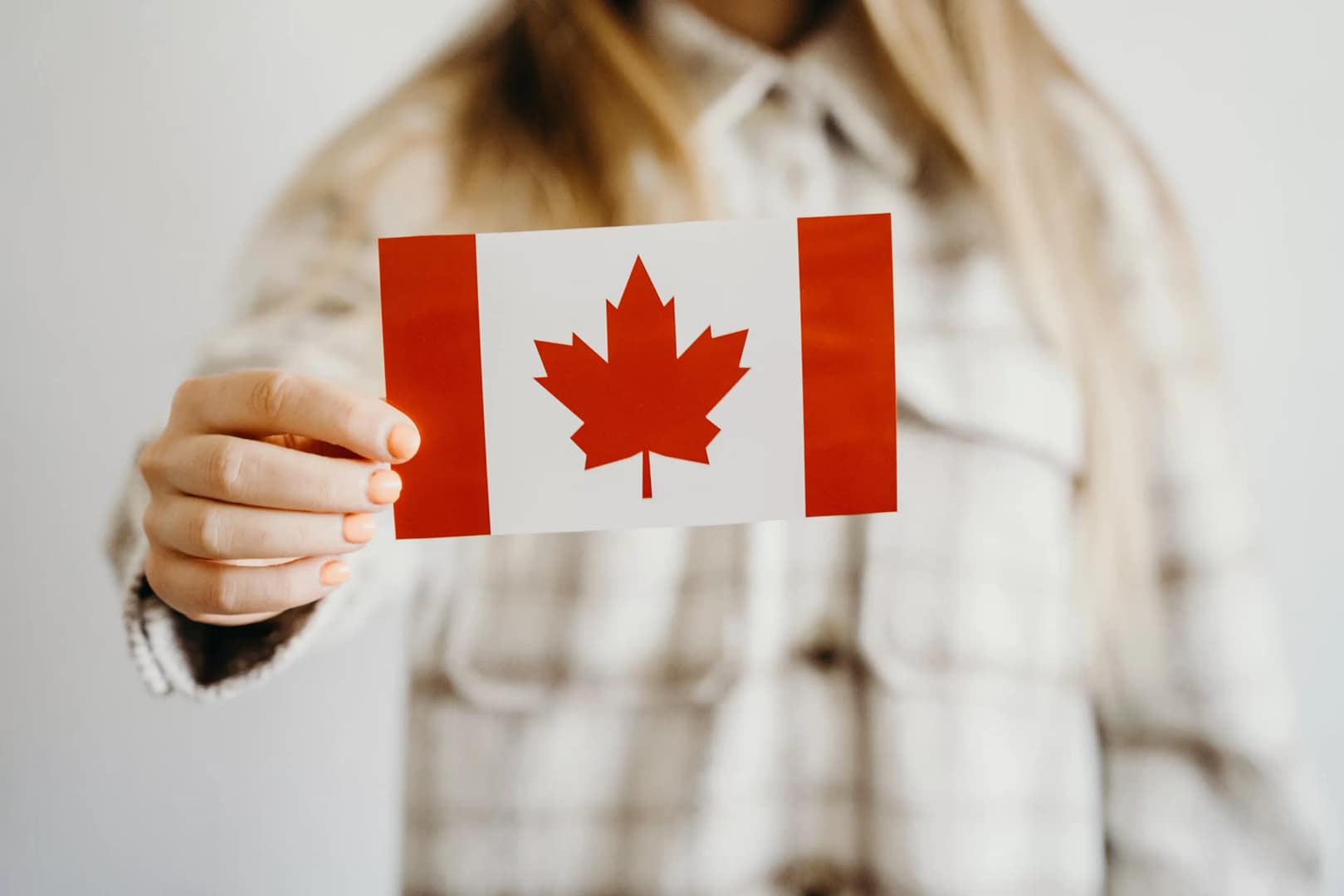 fine art movers in canada