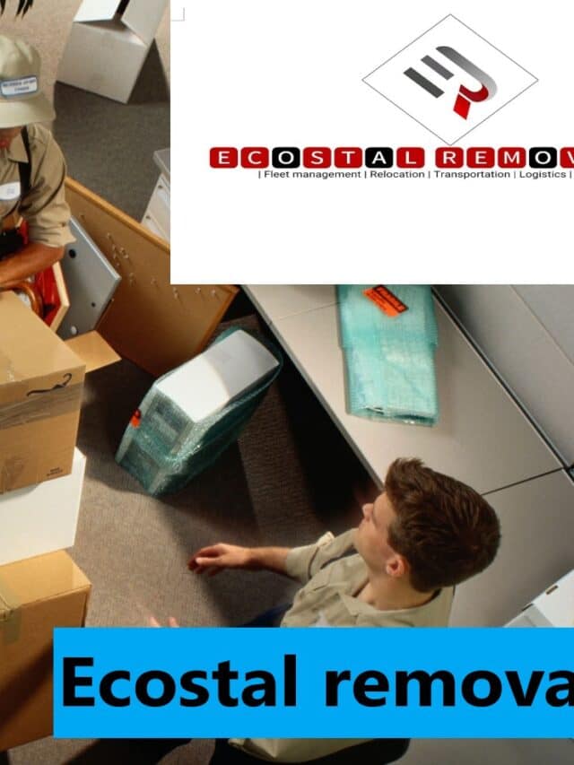 Ecostal removals packers and movers in Kalina